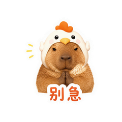 水豚躺平 #1