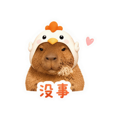 水豚躺平 #8